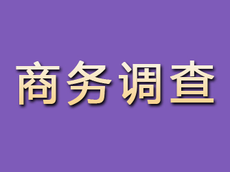 遂溪商务调查